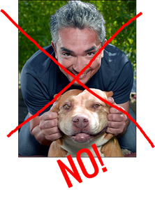 Cesar MIllan No