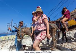 Dicke touristin auf esel