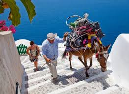 Donkeys in Santorini