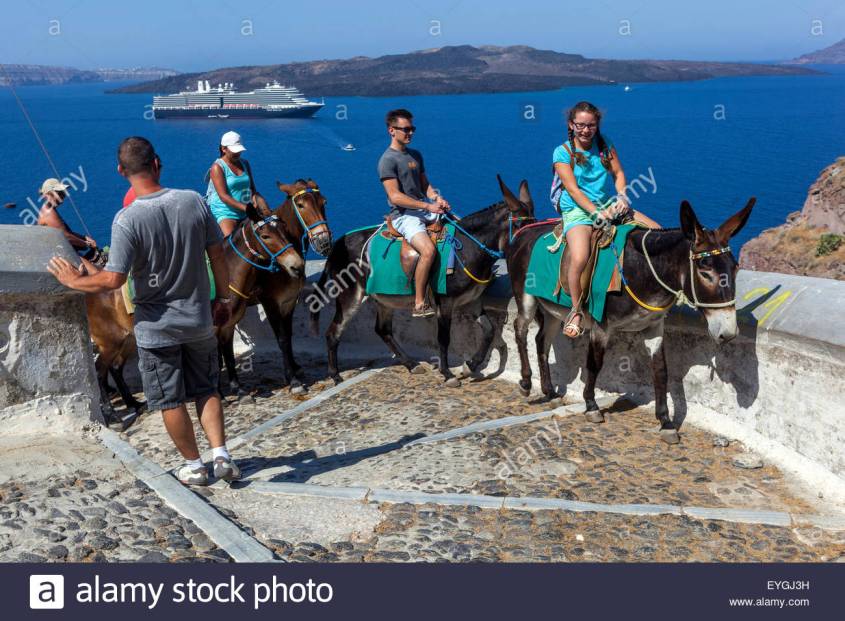 esel-touristen-die-auf-der-strasse-die-vom-hafen-in-die-stadt-thira-santorini-griechische-insel-kykladen-griechenland-europa-eygj3h