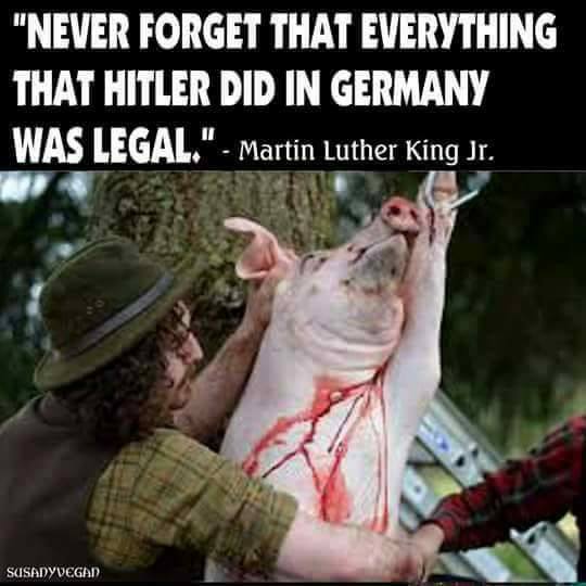 Martin-Luther-King Zitatn