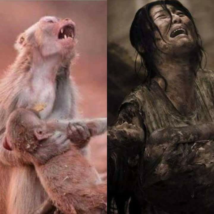 Äffin und Indianerin mit toten Kindern_n