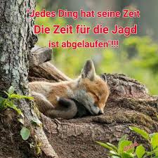 Güchslein mit Motto.pg