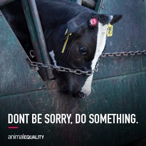 Kalb-Animal Equality