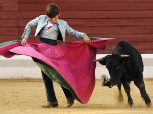 Kind matador