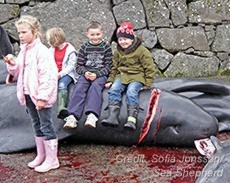 Kinder sitzen auf Wal Faröerjpg