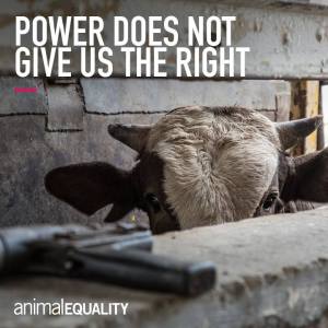 POwer gives not us the right
