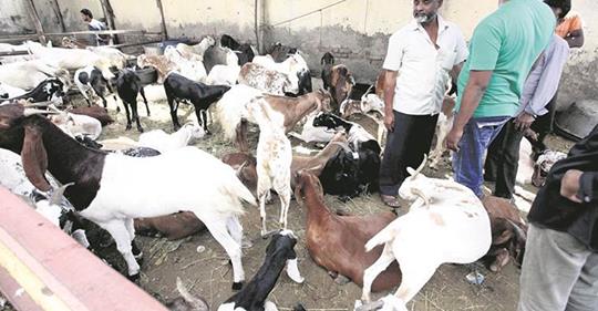 safe_image. Indien transporte