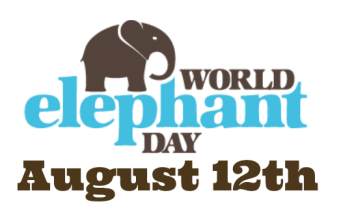 world elephant day 1