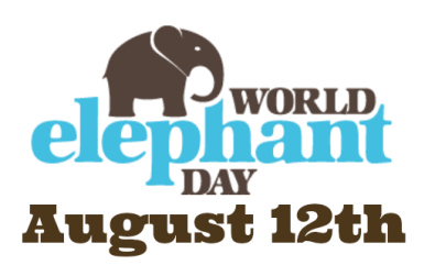 world elephant day 1