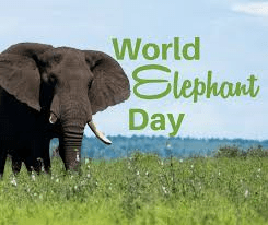 world elephant day 2