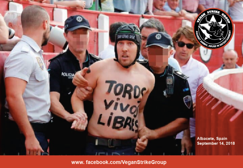 Aktivist in Arena 3_n