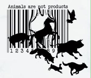 animals are not products