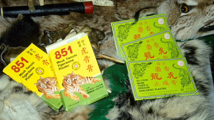 auchpflasteraustigerknochensindbegehrtearzneien