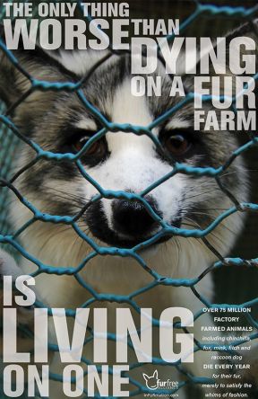 fur farm