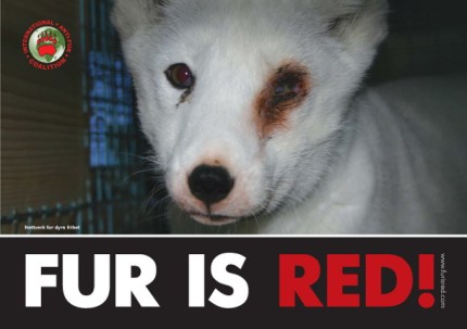 fur_is_red_1_610