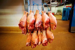 hängende Fleischkörper