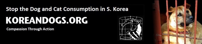 korean dogs header