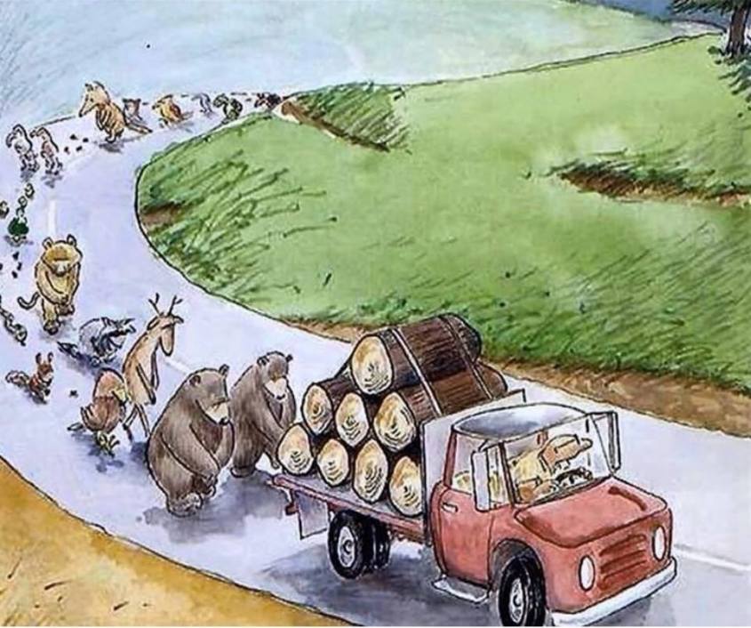 Litanei der Tiere wegen Waldzerstörung_n