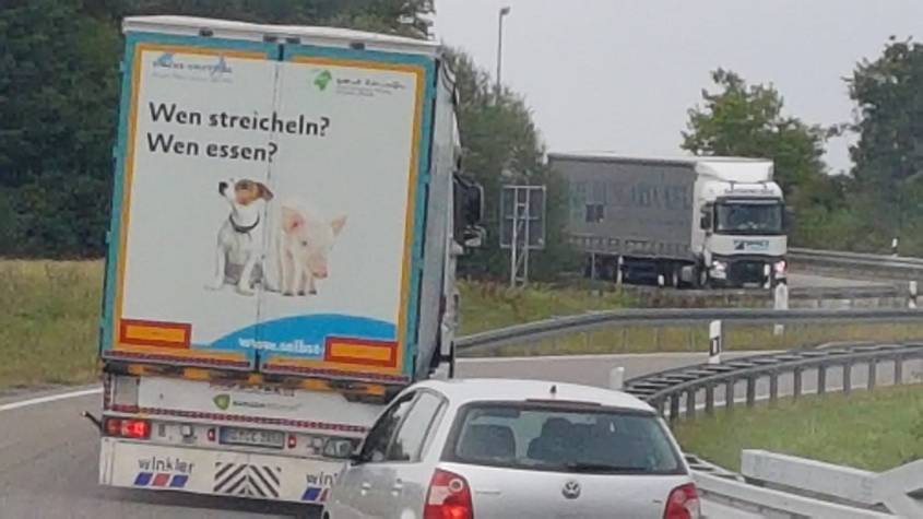 LKW mit schönem Slogan_o