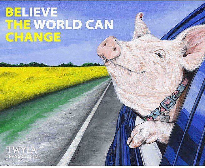 Schwein im Auto be the change