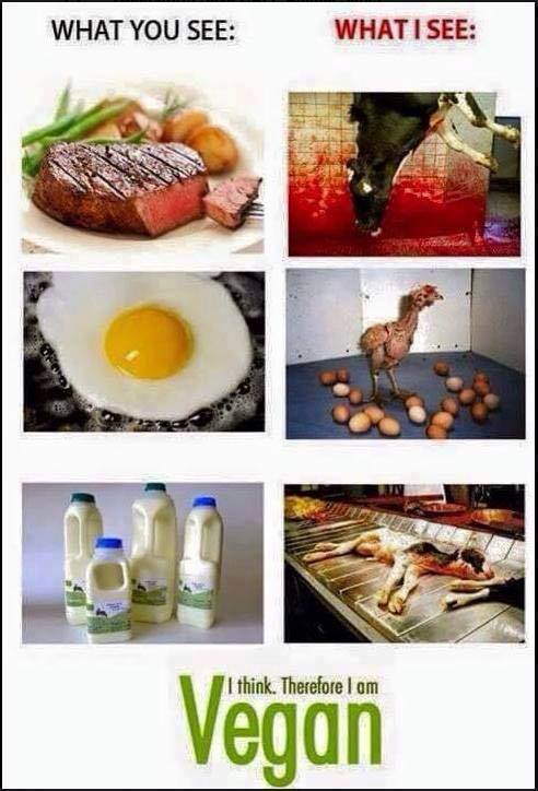 What you see, what I see...