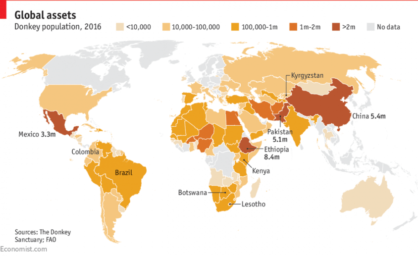 donkey skins global.png