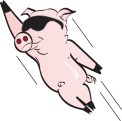 flying pig