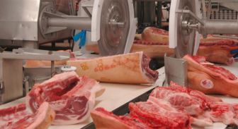 Foto mit Fleischteilena