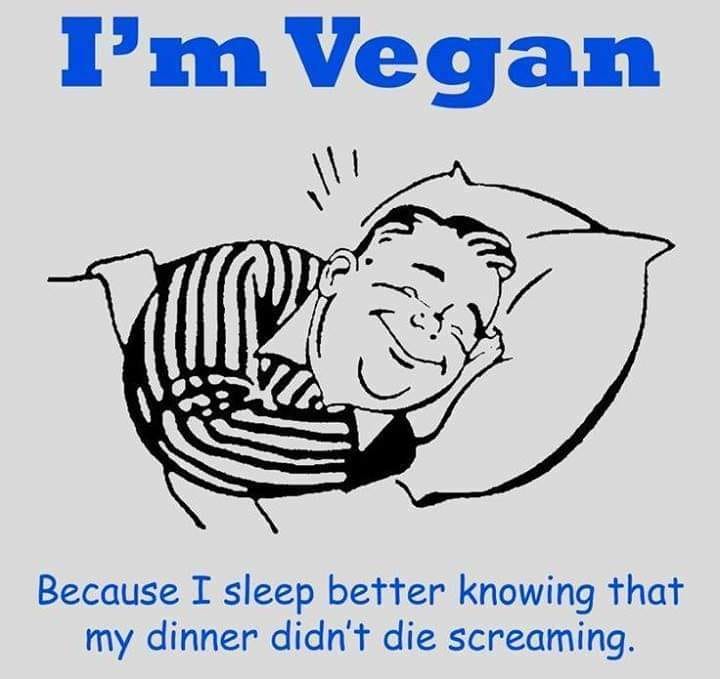 I am vegan..schlaffender Veganer Mann
