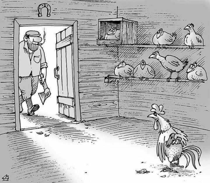 Karikatur-Hühne in Stall_n