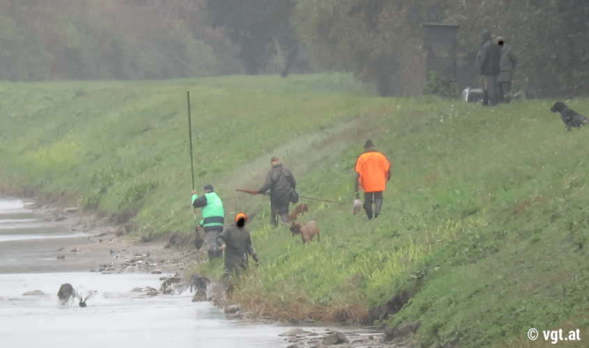 leith entenjagd2_VGTpng