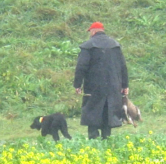 leith ententreibjagt VGT4_gal