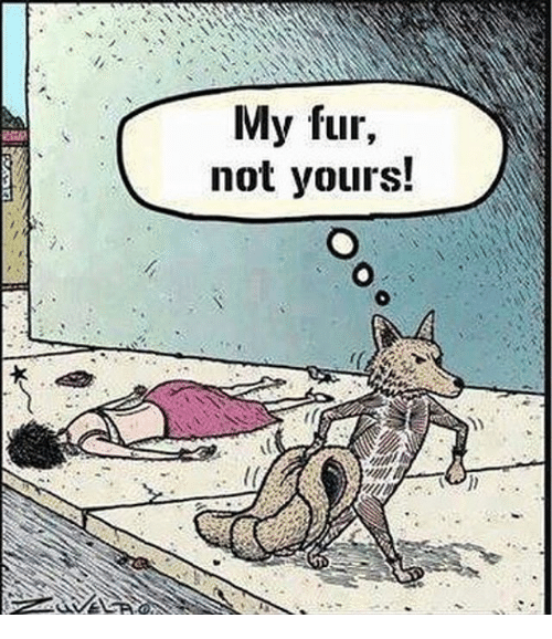 my fur