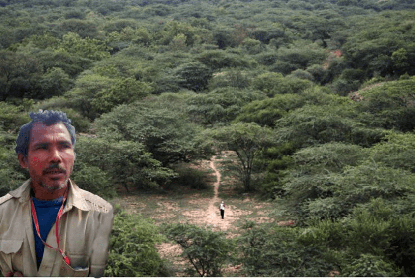 Screen-Shot-the forest man