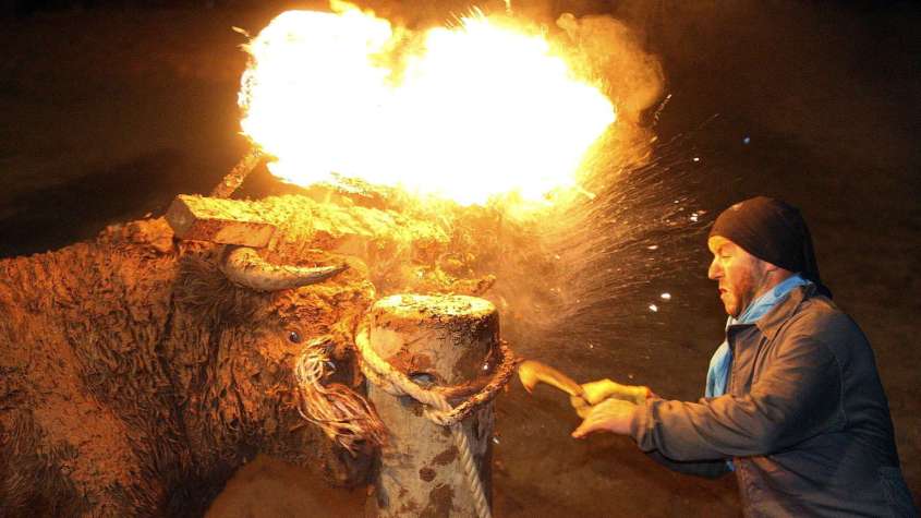 -toro-j-bilo-toro-de-fuego-stier-festival-spanien--1v6b