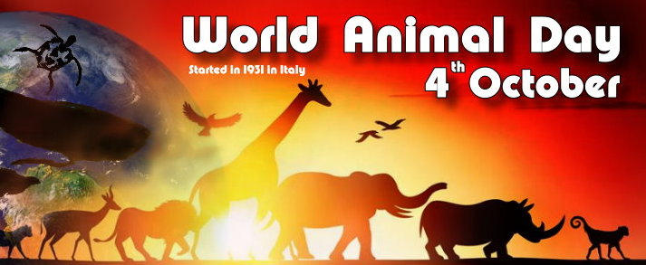 World animal day 2