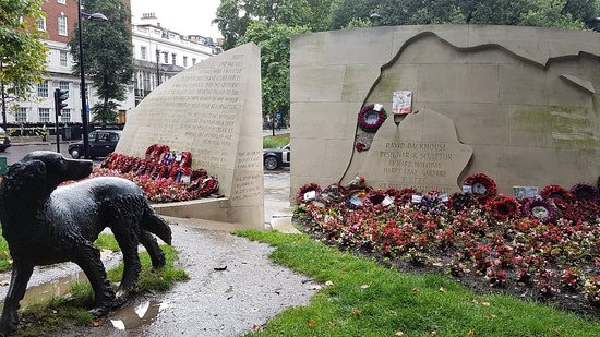 animals in war nov 3