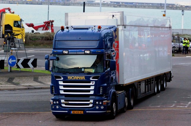 bow wagon carrying live sheep