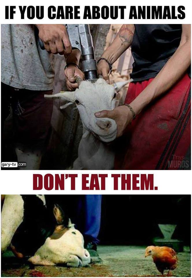 If you care about animals don`t eat them_n