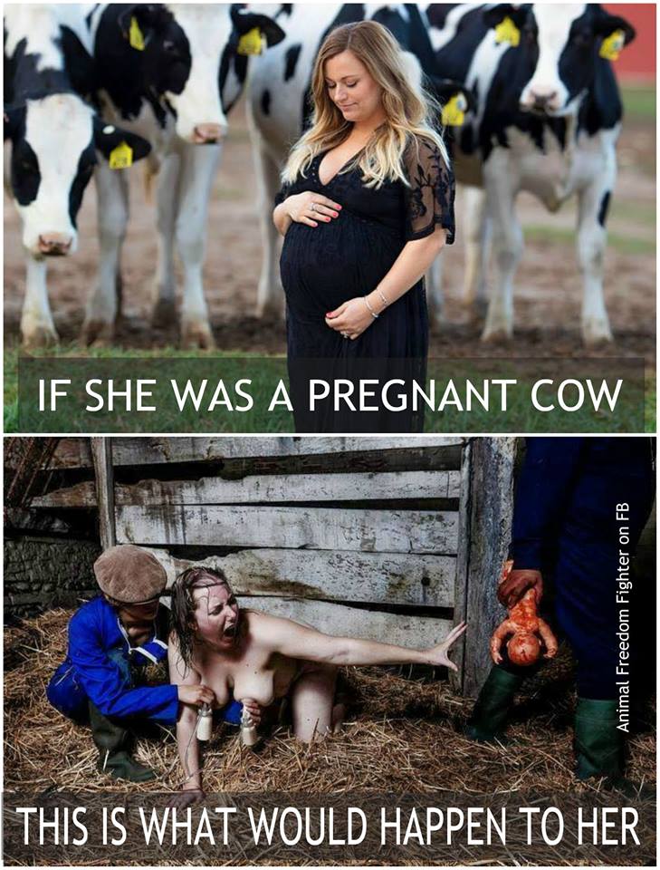 Parallele mit schwangerer Frau_n