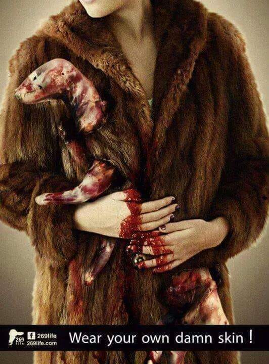 schönes Bild über Pelzn