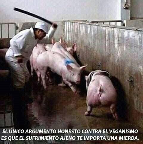 Schönes Zitat über Contra veganismus_n