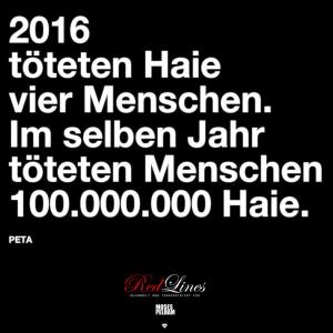 Statistik über Haienn