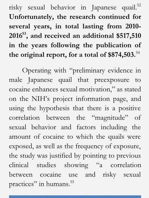 Experimenten mit Wachteln 2