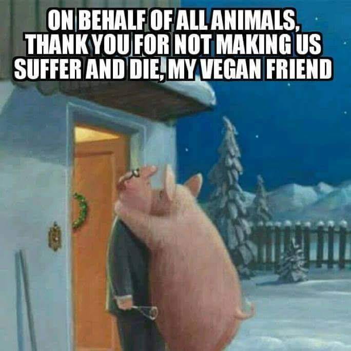 Im Name der Tiere bedankt sich ein Schwein beim Veganen