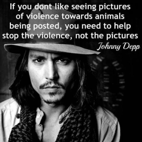 J Depp.png