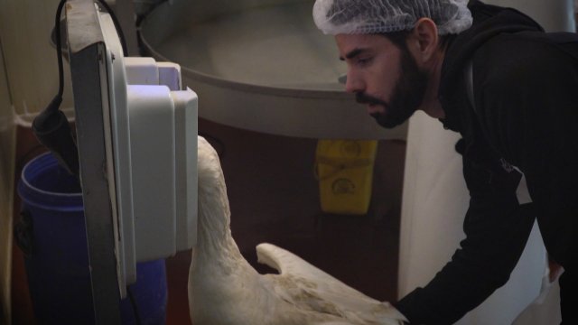 der Journalist-spiegel