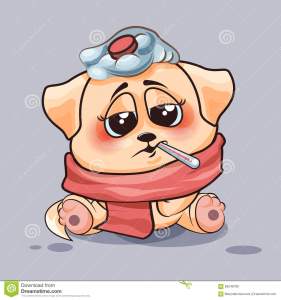 hund-ist-krank-69248789