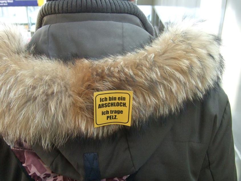 Ich bin ein Arschloch ich trage Pelz No 2